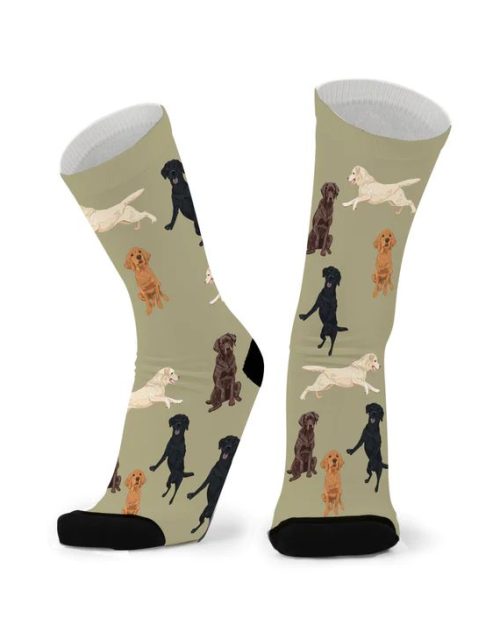Socks - Labrador - Larger Fit