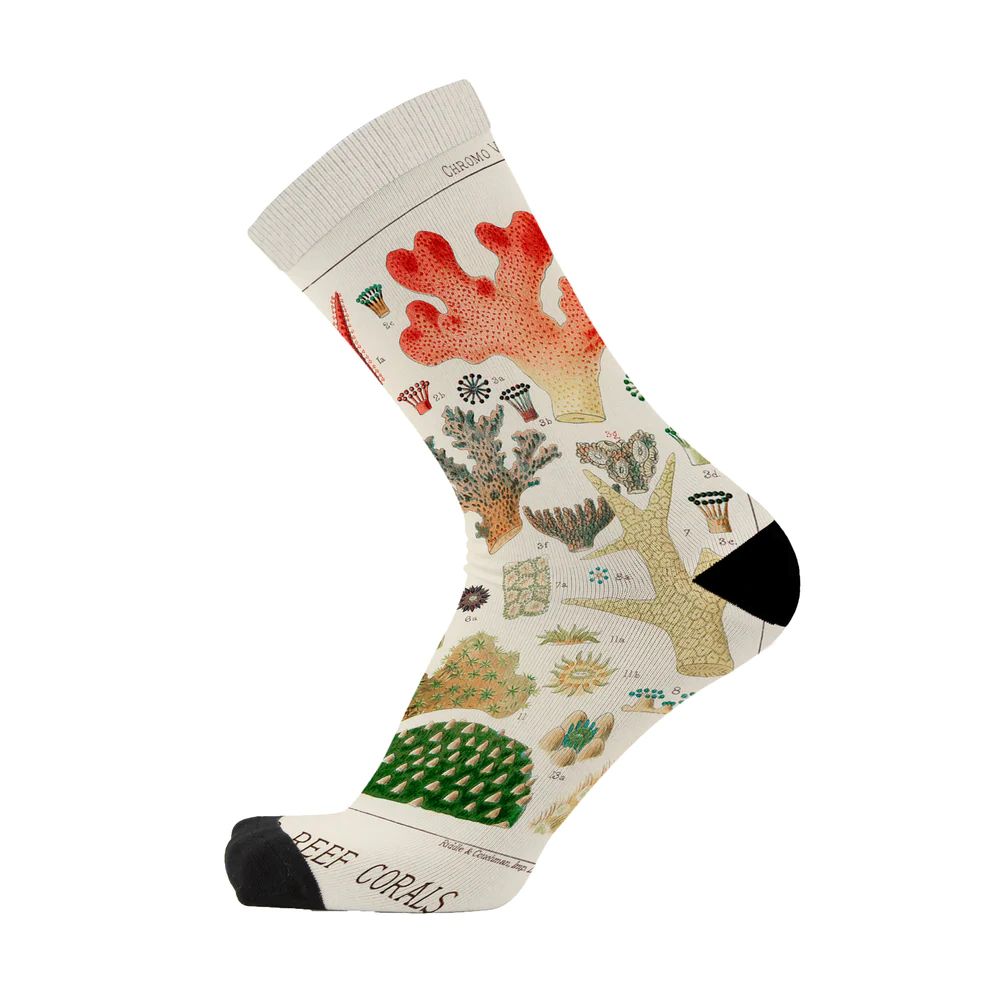 Socks - Sea Scholar Unisex