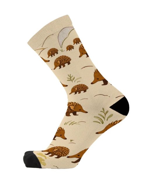 Socks - Echidna Walkabout