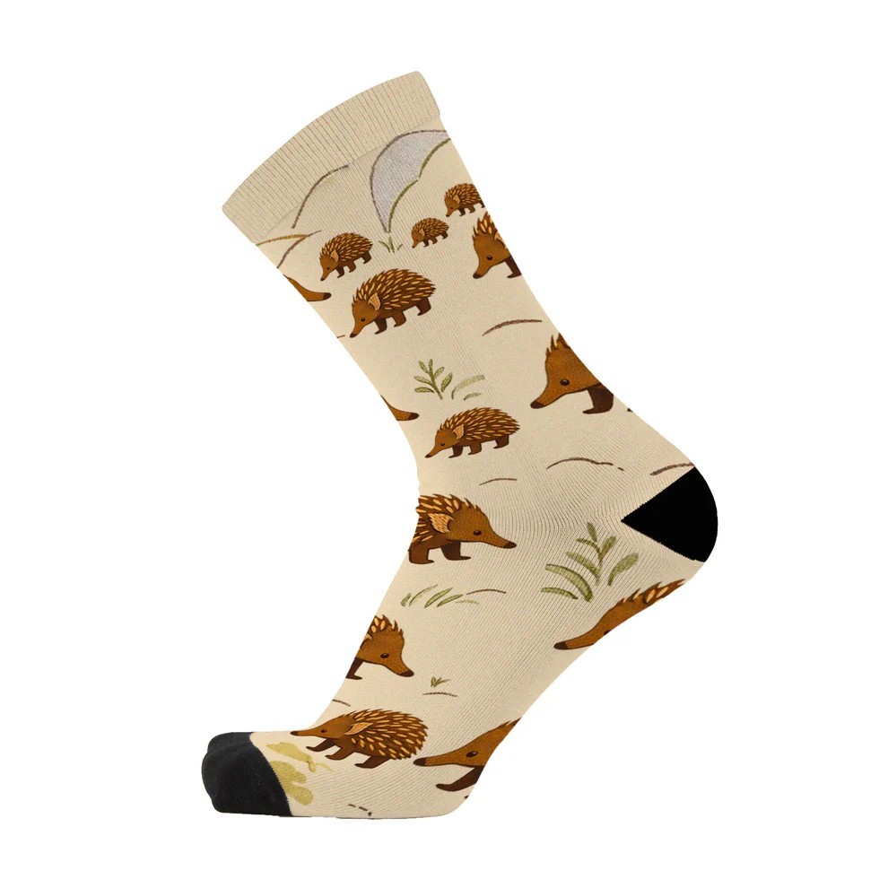 Socks - Echidna Walkabout