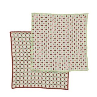 Kit Recycled Cotton Dishcloth Set 2 Sage