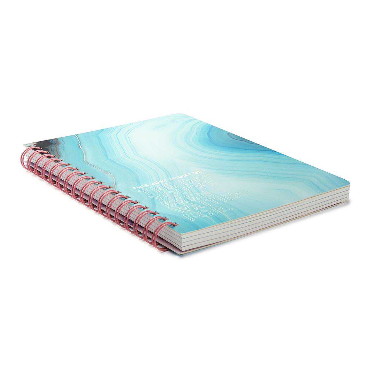 Wire-O Notebook – This Just Might Be The Day You’ve Been Waiting For - Image 3