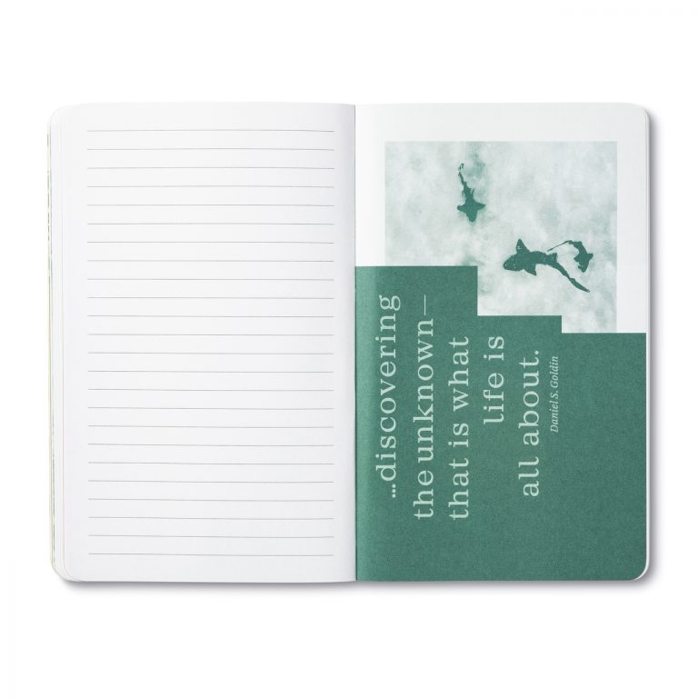 Write Now - Live With Curiosity - Image 5