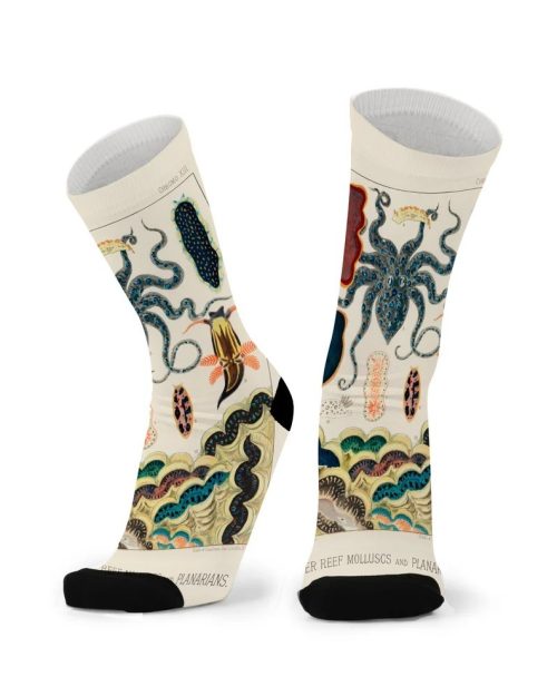 Socks - Octoparty Unisex - Larger Fit