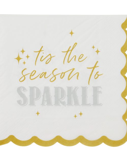 Xmas Napkins Merry Bright 20pk 3ply